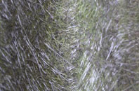 Ketsby fibreglass roof work